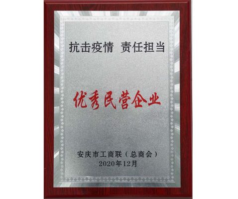 載譽(yù)前行丨康明納又獲新榮譽(yù)！